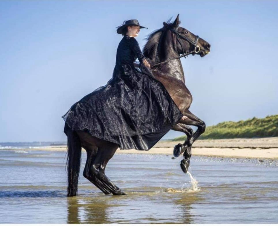 Ecuries Leseigneur - Camping Insolites Bolleville  ภายนอก รูปภาพ