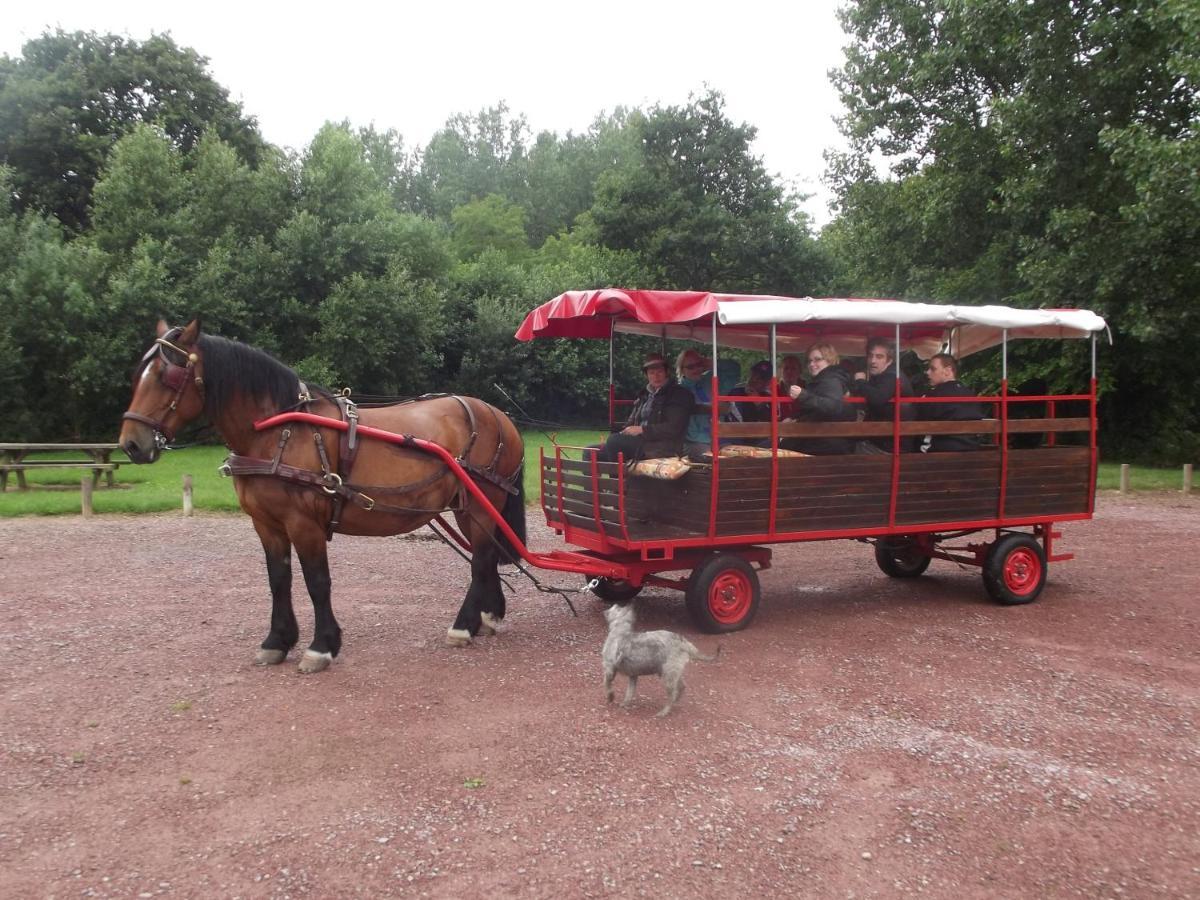 Ecuries Leseigneur - Camping Insolites Bolleville  ภายนอก รูปภาพ